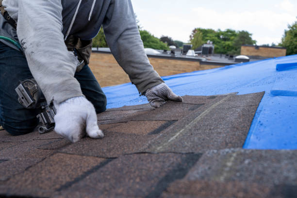 Best Roof Gutter Cleaning  in Petal, MS