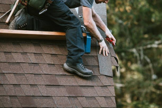 Professional Roofing Contractor in Petal, MS